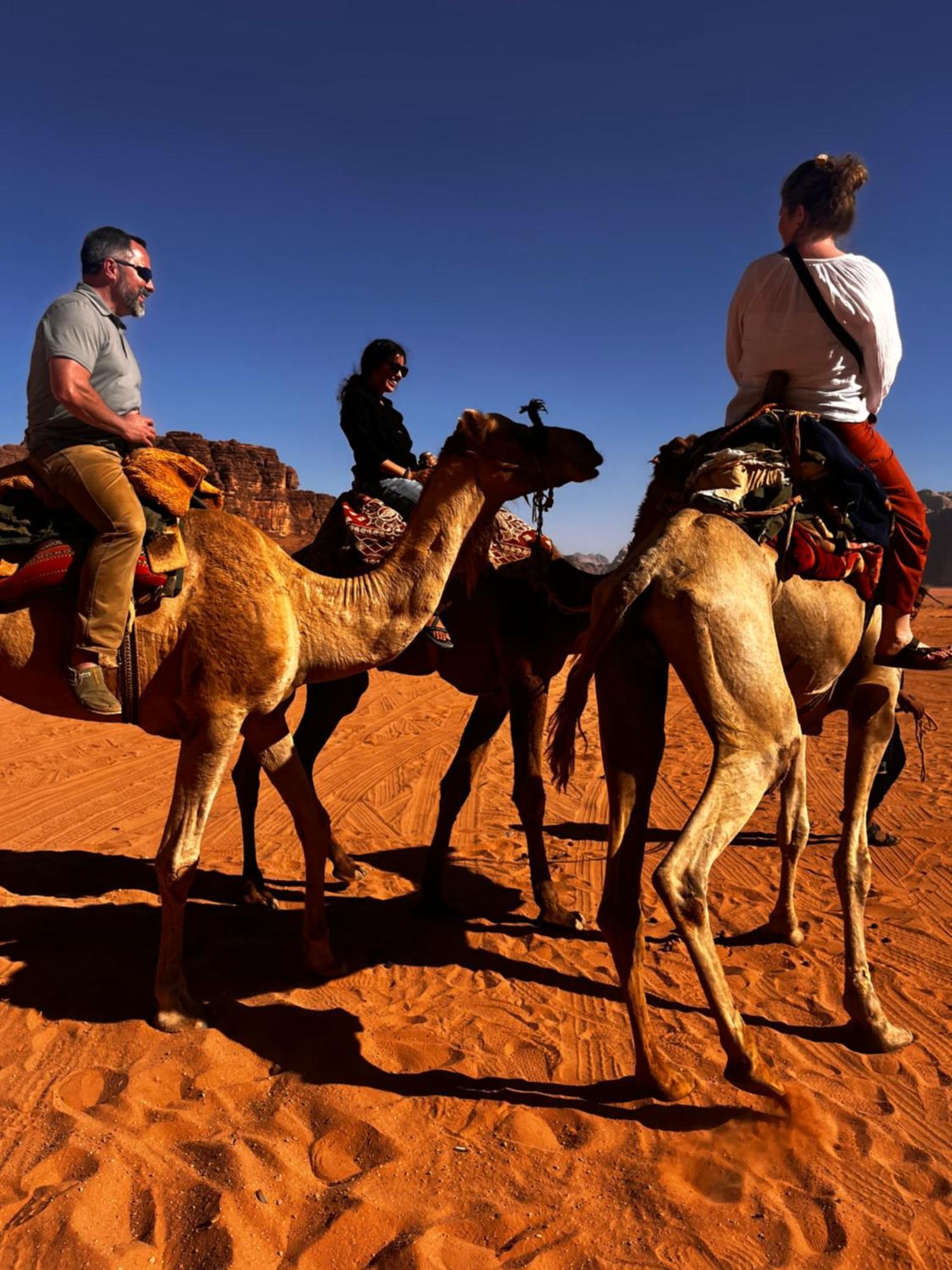 Desert Stars Rum Camp Wadi Rum Eksteriør billede