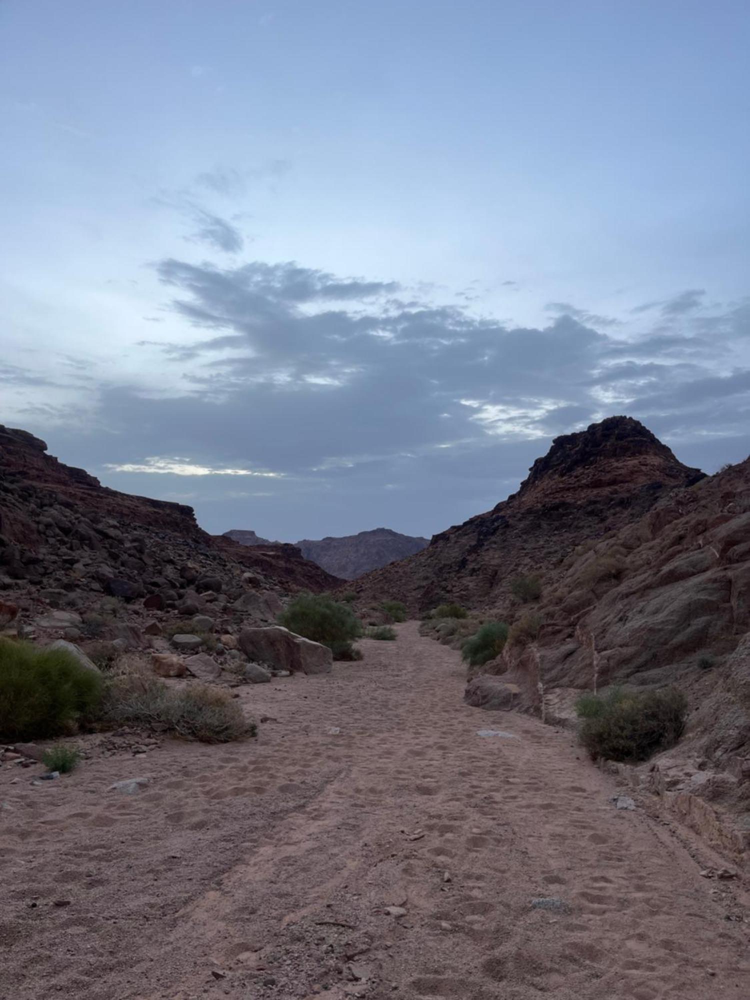 Desert Stars Rum Camp Wadi Rum Eksteriør billede